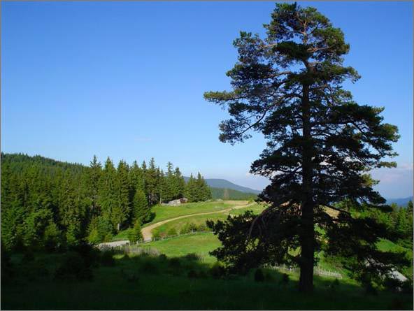 Description: C:\htm\WEB_NAO\galleries\fr11_files\image9001.jpg