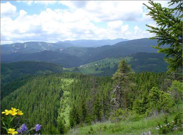 Description: C:\htm\WEB_NAO\galleries\fr11_files\image9002.jpg