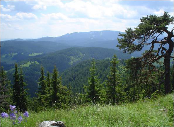 Description: C:\htm\WEB_NAO\galleries\fr11_files\image9003.jpg