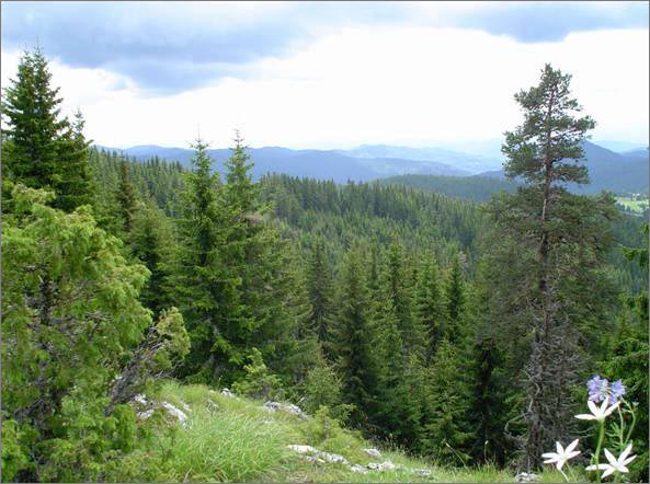 Description: C:\htm\WEB_NAO\galleries\fr11_files\image9004.jpg