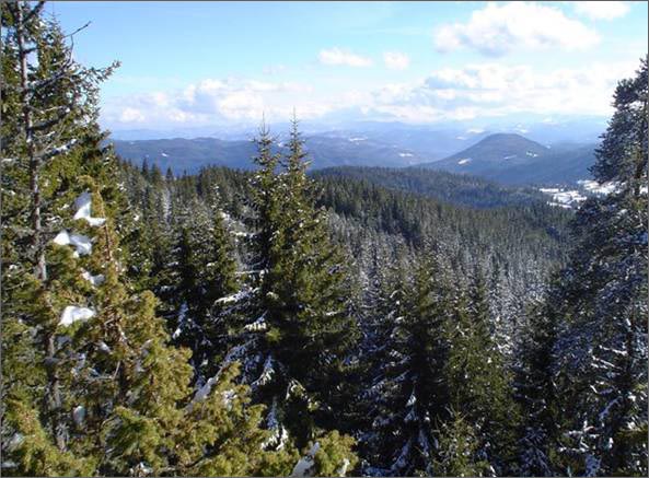 Description: C:\htm\WEB_NAO\galleries\fr11_files\image9005.jpg