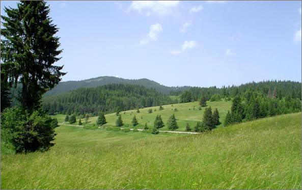 Description: C:\htm\WEB_NAO\galleries\fr11_files\image9007.jpg