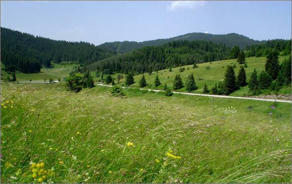 Description: C:\htm\WEB_NAO\galleries\fr11_files\image9008.jpg