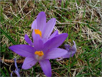 Description: C:\htm\WEB_NAO\galleries\fr11_files\image9011.jpg