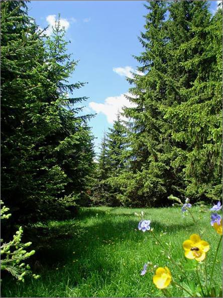 Description: C:\htm\WEB_NAO\galleries\fr11_files\image9012.jpg