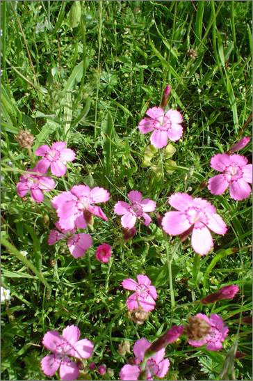 Description: C:\htm\WEB_NAO\galleries\fr11_files\image9015.jpg