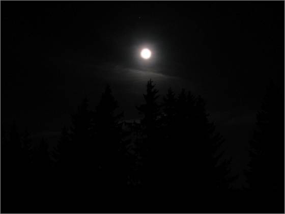 Description: C:\htm\WEB_NAO\galleries\fr12_files\image12009.jpg