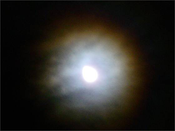 Description: C:\htm\WEB_NAO\galleries\fr14_files\image8007.jpg