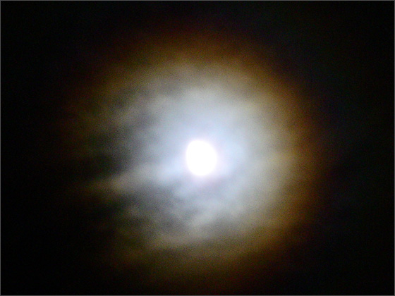 Description: C:\htm\WEB_NAO\galleries\fr14_files\image8009.jpg