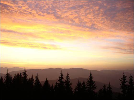 Description: C:\htm\WEB_NAO\galleries\fr14_files\image9035.jpg