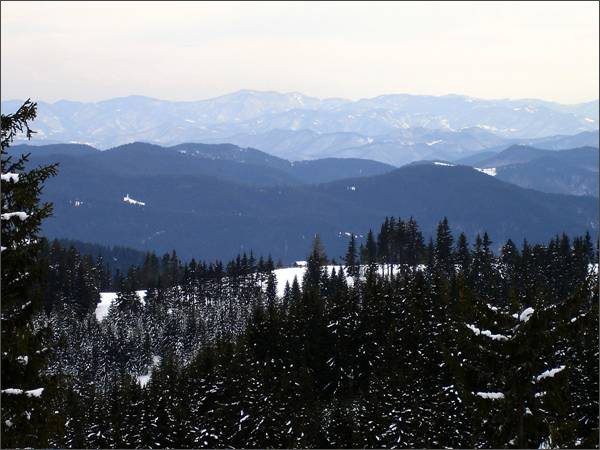 Description: C:\htm\WEB_NAO\galleries\fr15_files\image15006.jpg