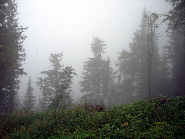 Description: C:\htm\WEB_NAO\galleries\fr15_files\image1501.jpg