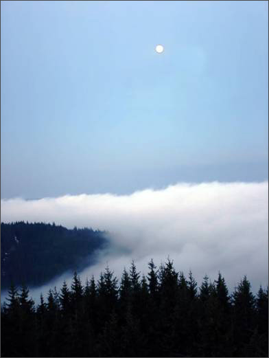 Description: C:\htm\WEB_NAO\galleries\fr15_files\image15030.jpg