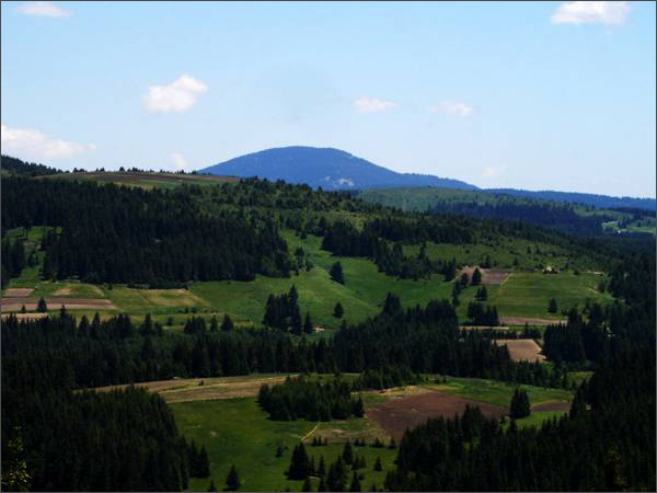 Description: Description: C:\htm\WEB_NAO\galleries\fr16_files\image1601.jpg