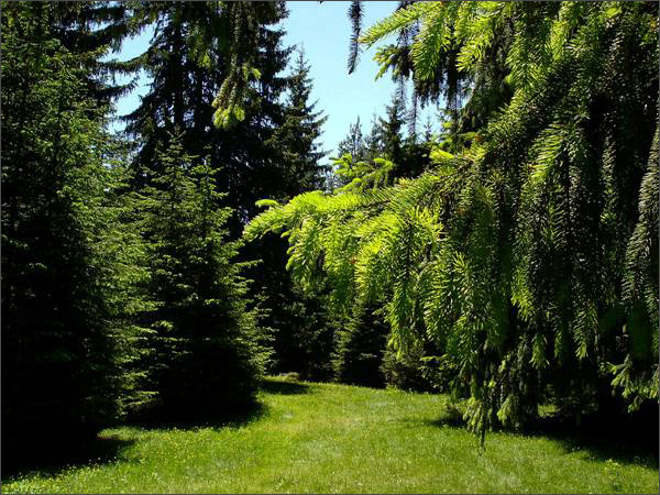 Description: Description: C:\htm\WEB_NAO\galleries\fr17_files\image17001.jpg