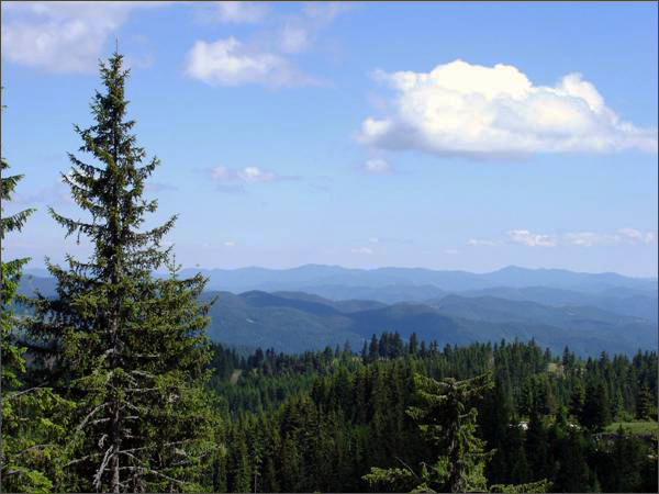 Description: Description: C:\htm\WEB_NAO\galleries\fr17_files\image17002.jpg