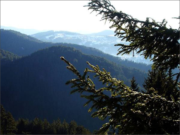 Description: Description: C:\htm\WEB_NAO\galleries\fr17_files\image17004.jpg