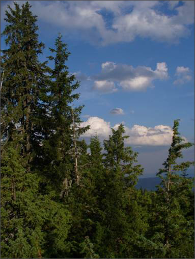 Description: Description: C:\htm\WEB_NAO\galleries\fr17_files\image17008.jpg