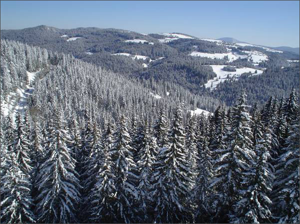 Description: C:\htm\WEB_NAO\galleries\fr18_files\image18006.jpg