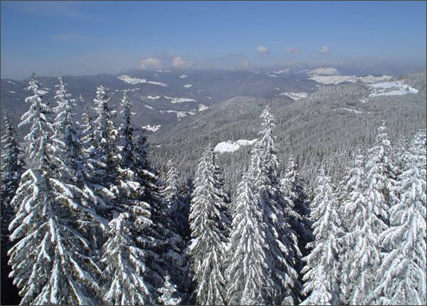 Description: C:\htm\WEB_NAO\galleries\fr18_files\image18007.jpg