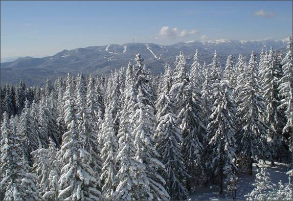 Description: C:\htm\WEB_NAO\galleries\fr18_files\image18008.jpg