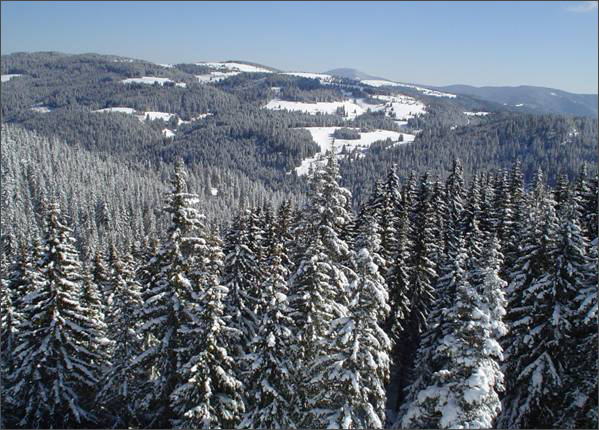 Description: C:\htm\WEB_NAO\galleries\fr18_files\image18009.jpg