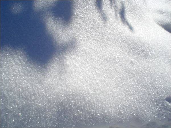 Description: C:\htm\WEB_NAO\galleries\fr18_files\image18012.jpg