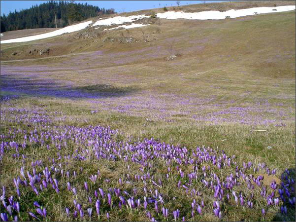 Description: C:\htm\WEB_NAO\galleries\fr18_files\image18013.jpg