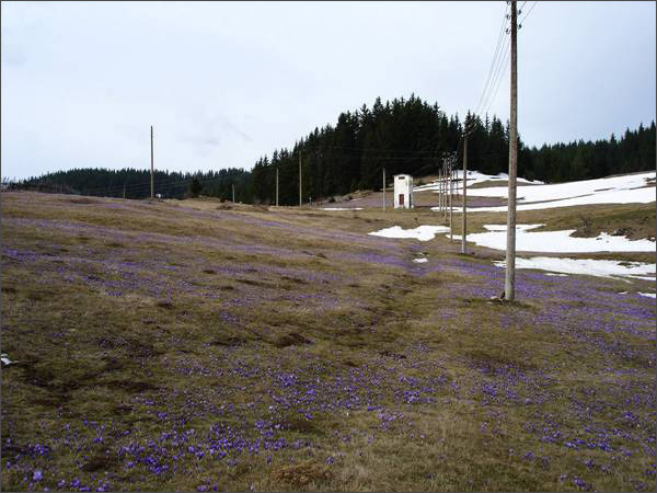 Description: C:\htm\WEB_NAO\galleries\fr19_files\image19001.jpg