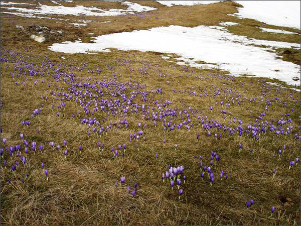 Description: C:\htm\WEB_NAO\galleries\fr19_files\image19002.jpg