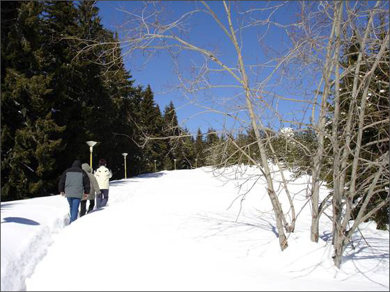 Description: C:\htm\WEB_NAO\galleries\fr22_files\image017.jpg