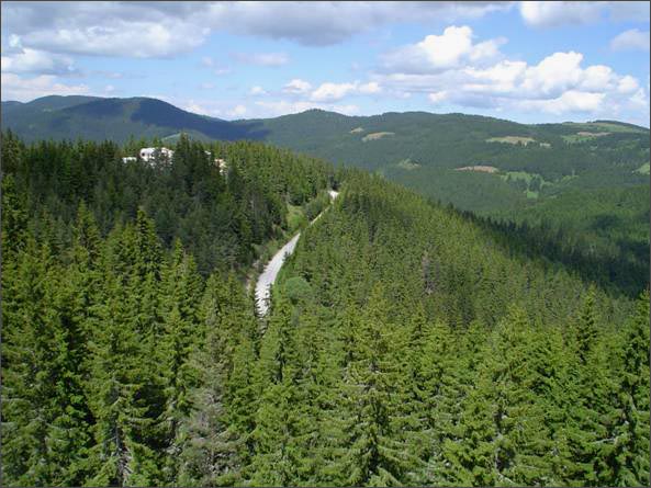 Description: C:\htm\WEB_NAO\galleries\fr8_files\image9002.jpg