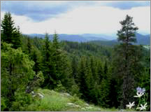 Description: Description: Description: Description: Description: Description: Description: Description: Description: Description: Description: C:\htm\WEB_NAO\galleries\fr_files\image3002.jpg