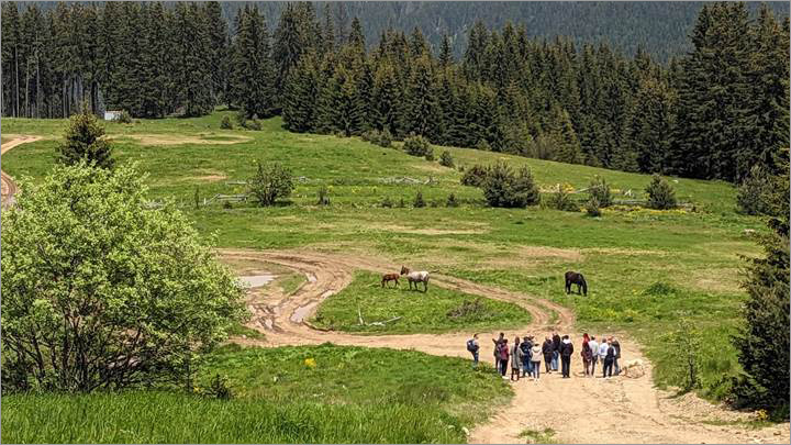 Description: ../../../PXL_20230620_105536774.jpg