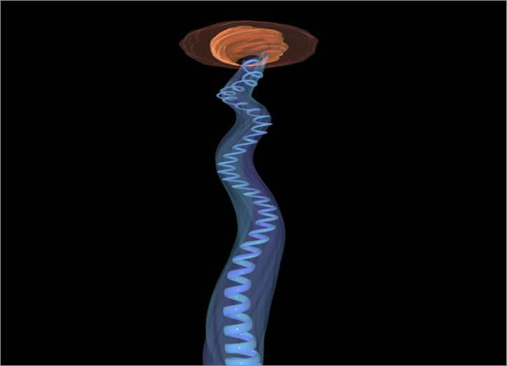 Description: D:\Fig 1.jpg